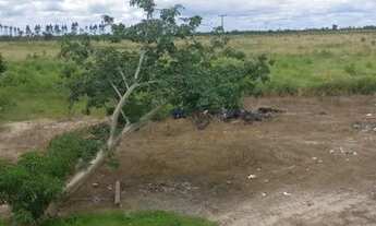 Imagem 4: Fazenda em Caxias do Maranhão