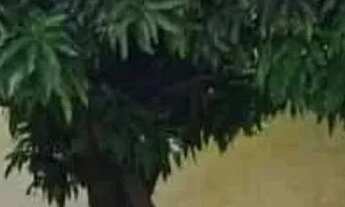 Imagem 2: Casa com 4 dormitórios à venda, 160 m² por R$ 390.000,00 - Centro - Neves Paulista/SP