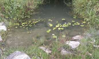 Imagem 5: 20 tarefas Cachoeira -Bahia