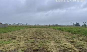 Imagem: LOTE EM RUBINÉIA - SP