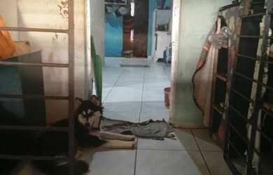 Imagem 6: Casa Quarto com aluguel por R$80 /mês