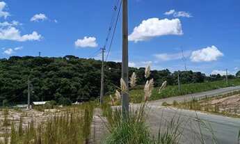 Imagem 7: TERRENO À VENDA - CAMPO LARGO / PR