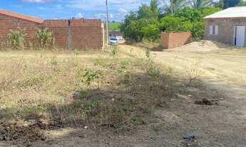 Imagem 2: Oportunidade! Terreno em Povoado Boca da Mata(Atalaia