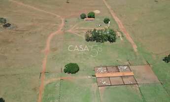 Imagem 4: Fazenda à Venda em Caçu, GO 1.614 Alqueires de Dupla Aptidão com Pastagem
