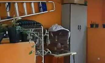 Imagem 4: Casa em Rua Irmã Joana Piracide Almeida Martins - Capoavinha - Mairiporã/SP