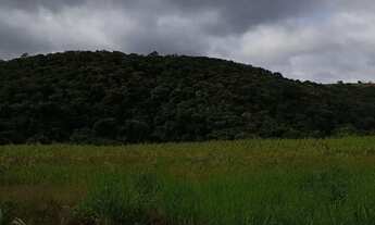 Imagem 4: Terrenos para venda possui 500 metros quadrados com 1 quarto em Colégio - Ibiúna - SP