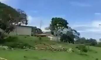 Imagem 3: Fazenda de 152 alqueires em Nova Crixas-GO