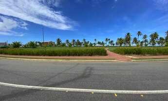 Imagem 6: Lote no Residencial Damha [4008