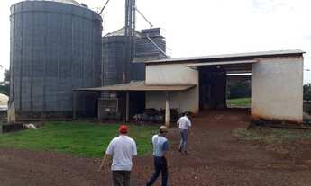 Imagem 3: Oprtunidade em palotina pr