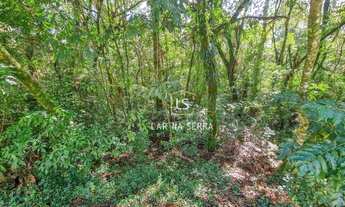 Imagem 4: Terreno à venda, 865 m² por R$ 1.272.000,00 - Reserva da Serra - Canela/RS