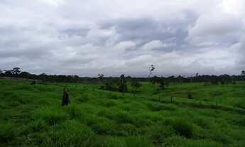 Imagem 2: 200 hectares Fazenda / sítio com venda por R$500.000
