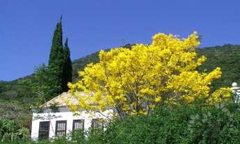 Imagem 3: FLORIANÓPOLIS - Casa Padrão - RIBEIRÃO DA ILHA