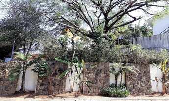 Imagem 7: Terreno Parque dos Príncipes - Sao Paulo