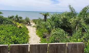 Imagem 3: Propriedade tem 500 metros quadrados de área construída, 7716 metros total de área, Santo