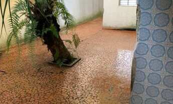 Imagem 6: Bela Localização - Ampla casa 3 dormitórios - 2 vagas - Parque da Mooca