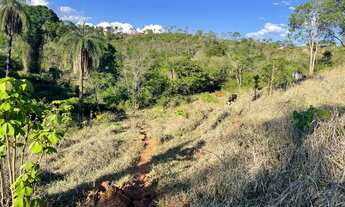 Imagem 4: Chácara de alto nível com muita água e terra sem igual