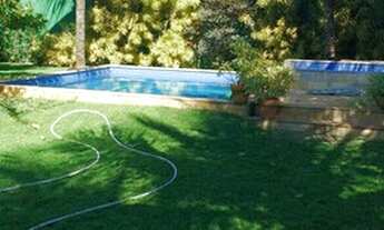 Imagem 3: Casa Verão Vermelho