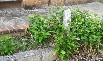 Imagem 5: Belo Horizonte - Casa Padrão - Nova Vista