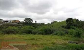 Imagem 4: ÁREA EM GUARULHOS - 33.000m² , FRENTE COM 155 mts