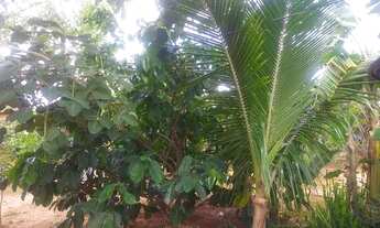 Imagem 4: Linda chácara Chácara com venda por R$100.000