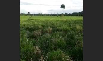 Imagem 2: Fazenda a venda 58 alqueires 47 de capim! 30 km da cidade José pó filho..?