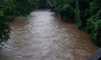 Imagem 3: FAZENDA EM RIBEIRAO CASCALHEIRA MT