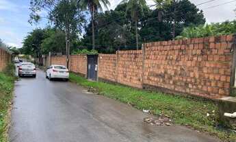 Imagem: Sítio oportunidade