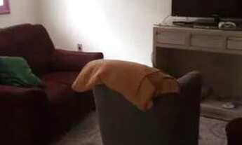 Imagem 6: CASA RESIDENCIAL ISABELA II