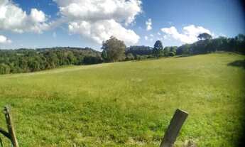 Imagem 5: Chácara Completa 10 Hect Flores da Cunha-RS