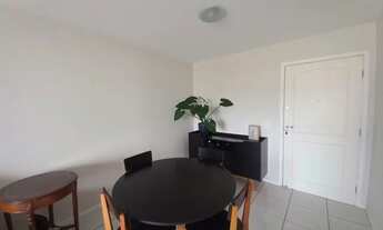 Imagem 6: FLORIANóPOLIS - Padrão - Estreito