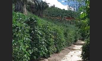 Imagem 5: Vendo Terreno Em Brejetuba