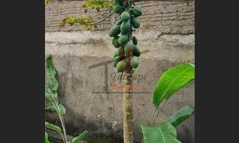 Imagem 3: Sobrado venda Vila Bertioga