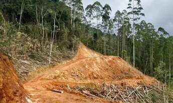 Imagem 6: Vendo terreno escriturado