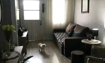 Imagem 2: Casa em Martinica