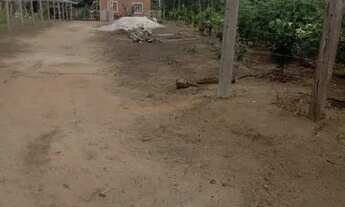 Imagem 4: Sítio Chácara com venda por R$350.000