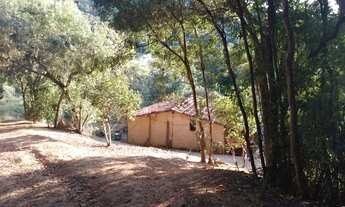 Imagem 3: Vendo sítio á 5 km da cidade