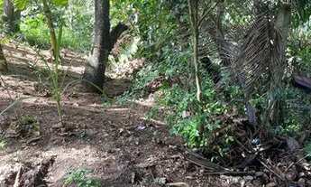 Imagem 4: Vendo sitio pequeno