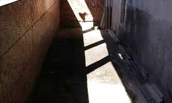 Imagem: Vendem-se casas com 1 quarto cada, no Pilar