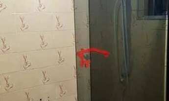 Imagem 4: Apartamento com 2 dormitórios para alugar, 40 m² por R$ 1.120,00/mês - Vila Pirituba - São