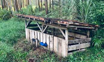 Imagem 4: Sítio em Luiz Alves terra da cachaça