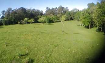 Imagem 3: Chácara Completa 10 Hect Flores da Cunha-RS