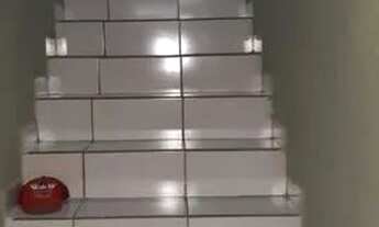 Imagem 3: Alugo primeiro andar