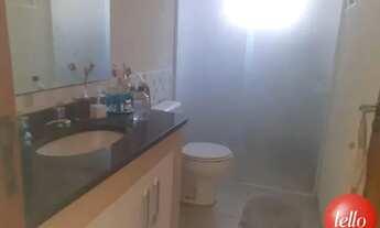 Imagem 7: São Paulo - Casa Padrão - Campo Belo