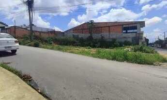 Imagem 5: Terreno no Novo Aleixo de Esquina / 13x25 próx da Natan Xavier