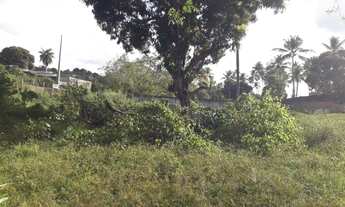 Imagem 3: Terreno 10x22 em Abreu e Lima ( Centro) R$20.000,00