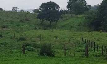 Imagem 5: Fazenda em Aragoiania