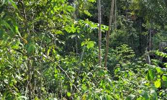Imagem 6: Terreno em Iranduba a 20 min da ponte Rio Negro