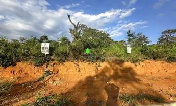 Imagem 4: Lote em Pomar Da Lagoa