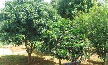 Imagem 5: Chácara de 5.000 m² - Muita Água, Terra Produtiva e Localização Privilegiada!