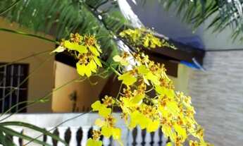 Imagem: Casa na praia de Itanhaém para final de